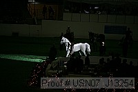 usn07_j13254 proof