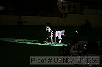 usn07_j13255 proof