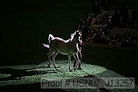 usn07_j13257 proof