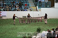 usn07_j13645 proof