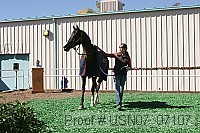 usn07_07107 proof