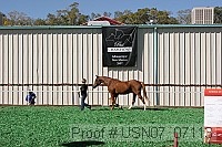 usn07_07113 proof