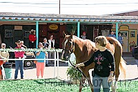 usn07_07117 proof