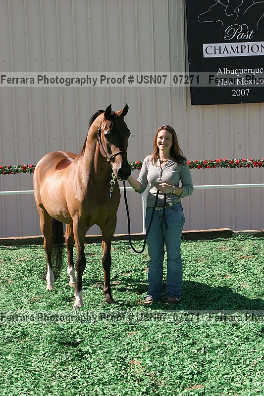 Proof usn07_07271