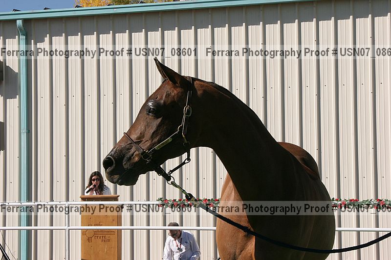 Proof usn07_08601