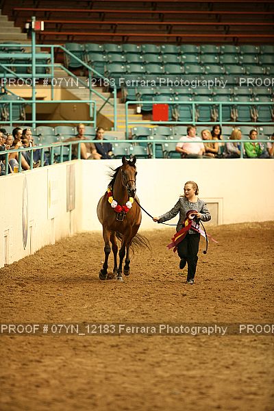 Proof 07YN_12183