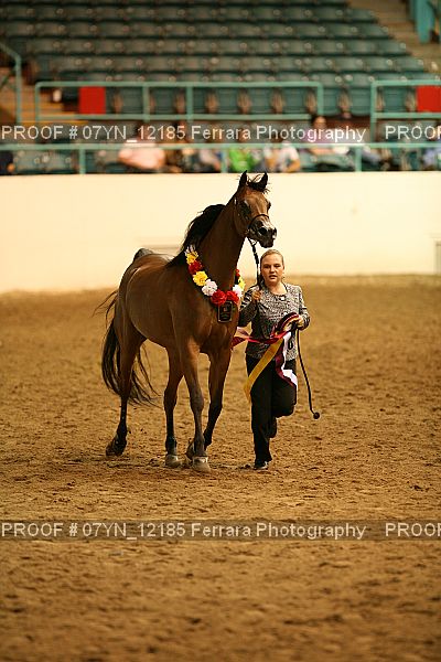 Proof 07YN_12185