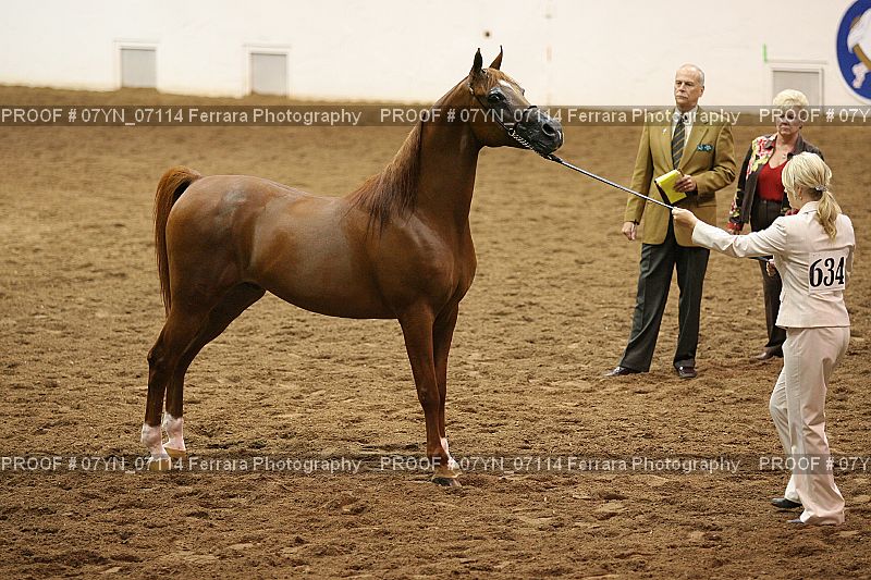 Proof 07YN_07114