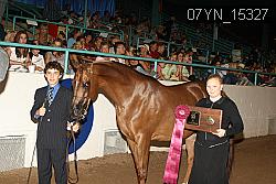 07YN_15327 proof