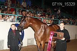 07YN_15329 proof