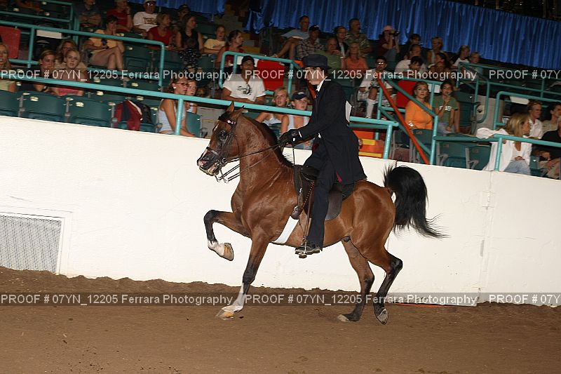 Proof 07YN_12205