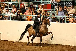 07YN_12221 proof