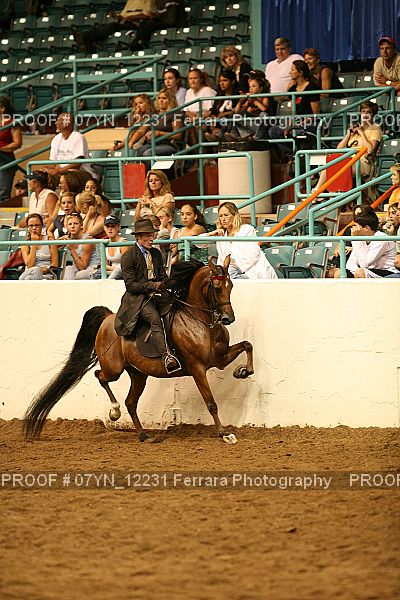 Proof 07YN_12231