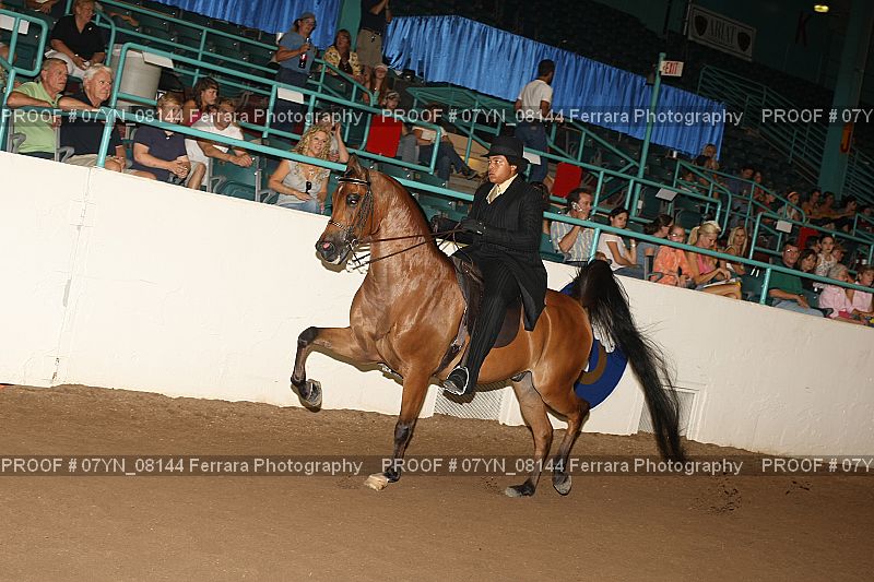 Proof 07YN_08144