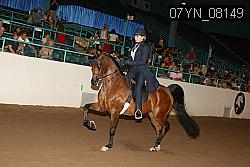 07YN_08149 proof