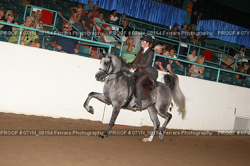 Proof 07YN_08154