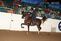 07YN_08165 proof