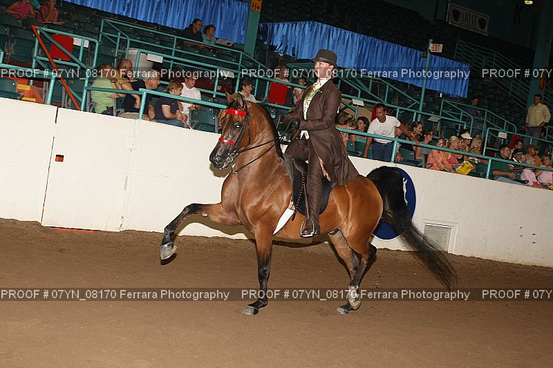 Proof 07YN_08170