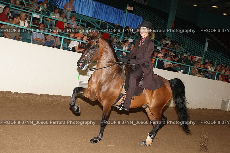 Proof 07YN_06866