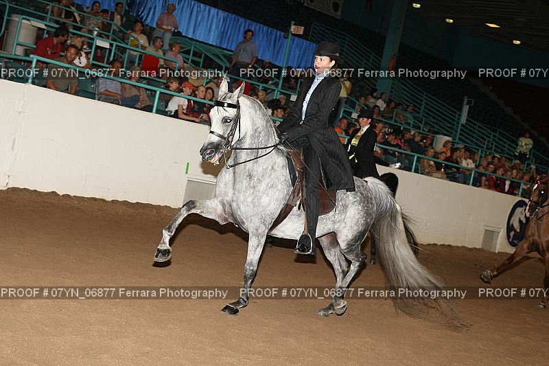 Proof 07YN_06877