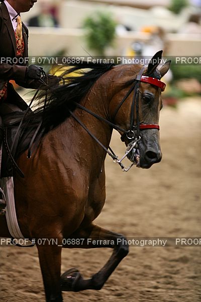 Proof 07YN_06887