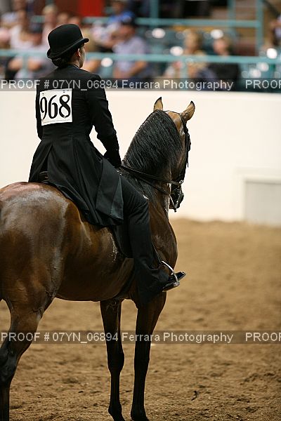 Proof 07YN_06894