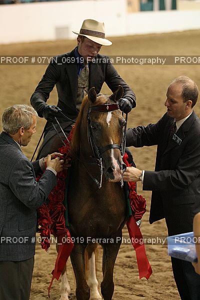 Proof 07YN_06919