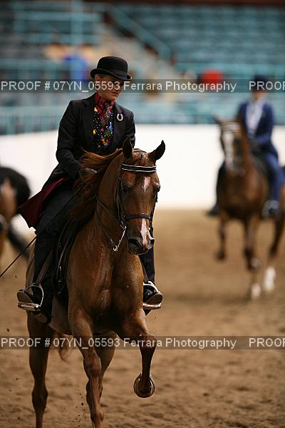 Proof 07YN_05593