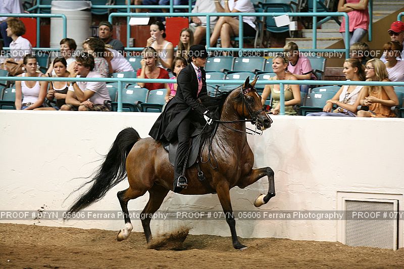 Proof 07YN_05606
