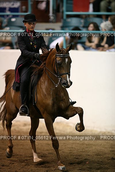 Proof 07YN_05612