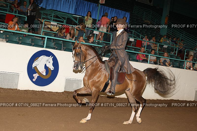 Proof 07YN_08827