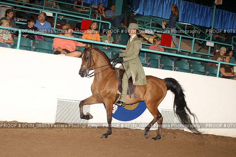 Proof 07YN_08853