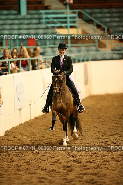 Proof 07YN_08868