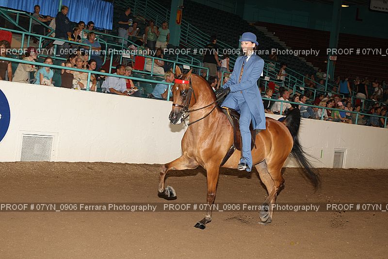Proof 07YN_0906
