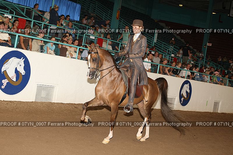 Proof 07YN_0907