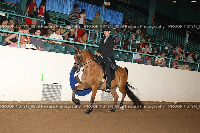 Proof 07YN_0939