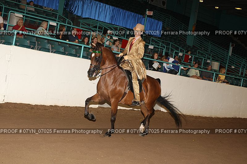 Proof 07YN_07025