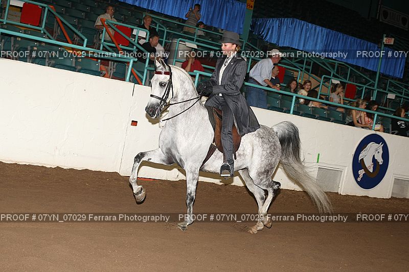 Proof 07YN_07029