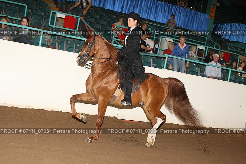 Proof 07YN_07034