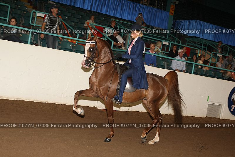 Proof 07YN_07035