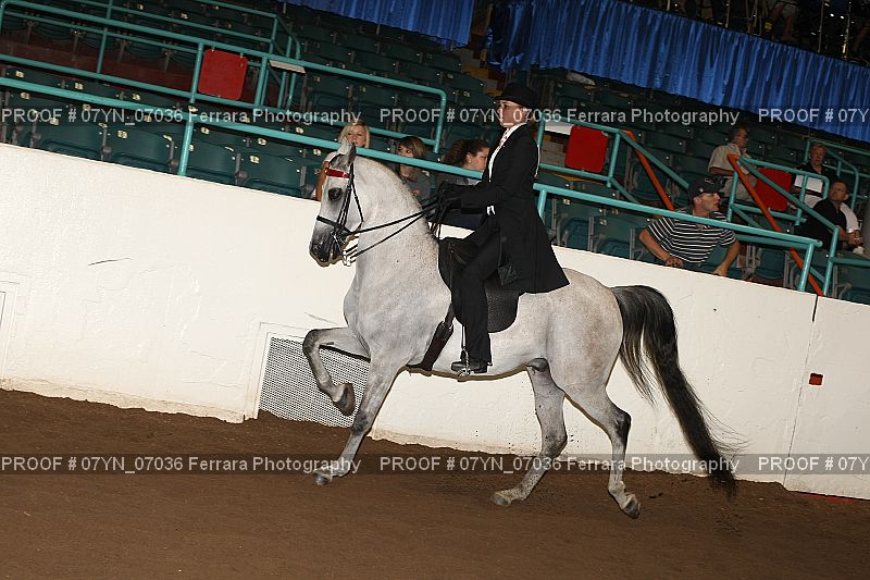 Proof 07YN_07036