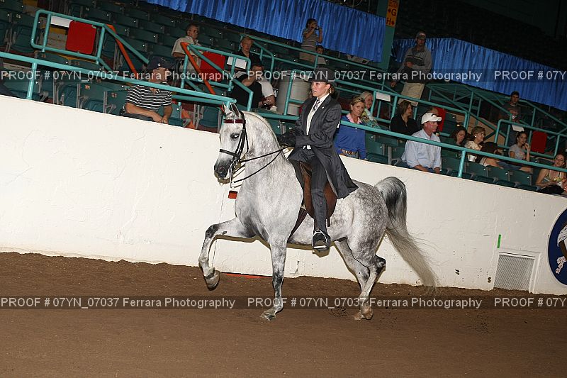 Proof 07YN_07037
