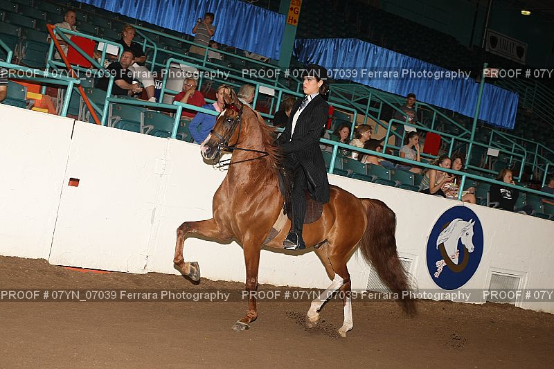 Proof 07YN_07039