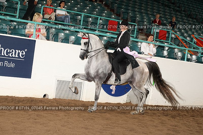 Proof 07YN_07045