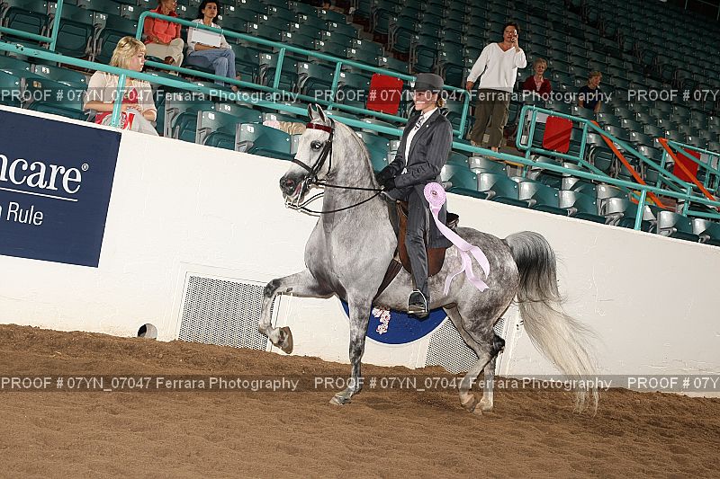 Proof 07YN_07047