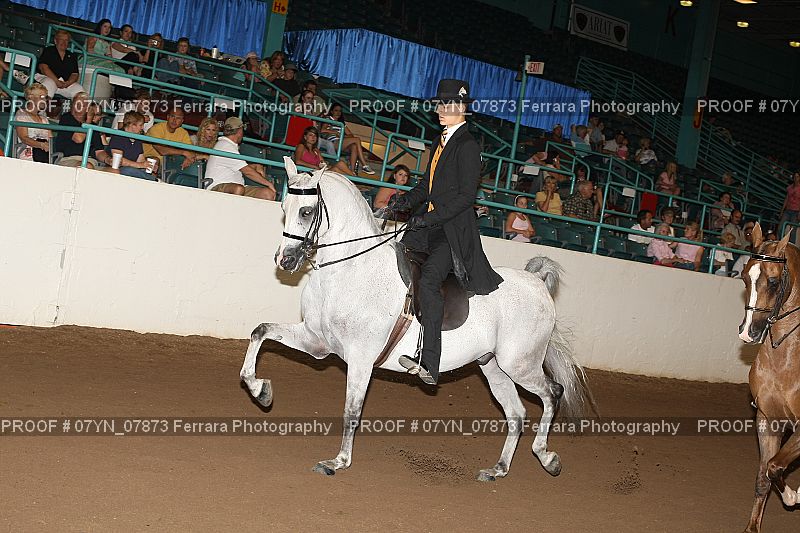 Proof 07YN_07873