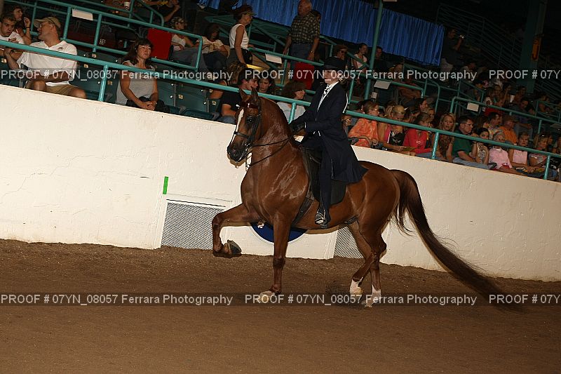 Proof 07YN_08057