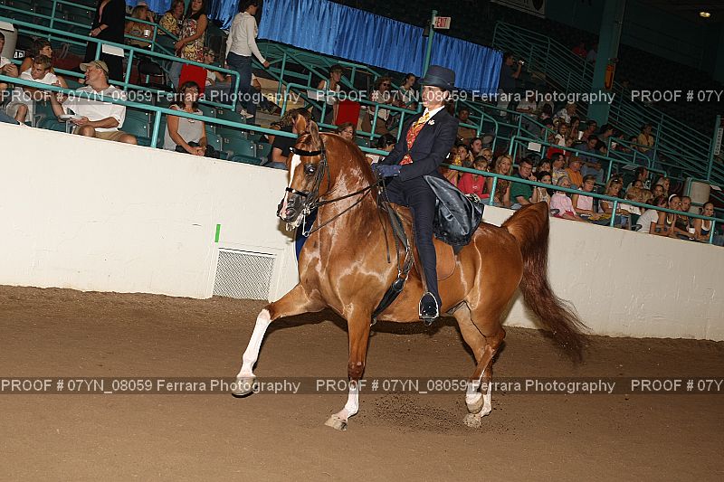 Proof 07YN_08059