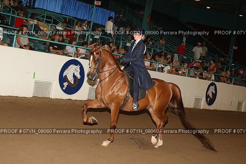 Proof 07YN_08060