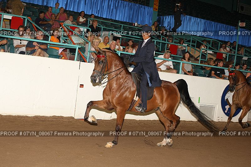 Proof 07YN_08067